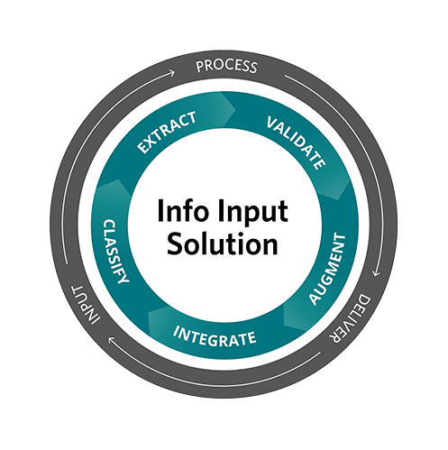 Info Input Solution 