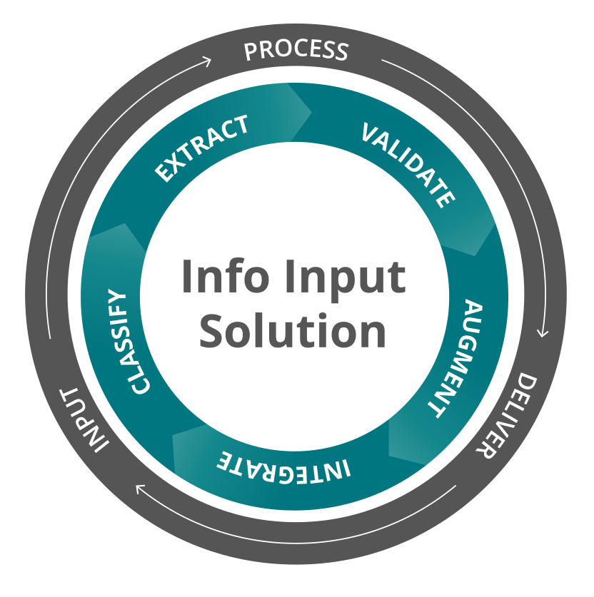 Info Input Solutions Process Infographic